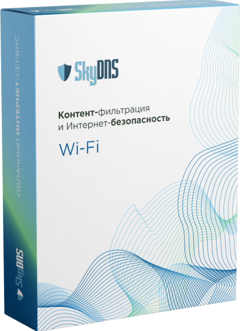 SkyDNS.wi-fi коробка