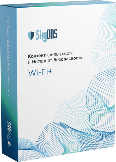 SkyDNS wi-fi + коробка
